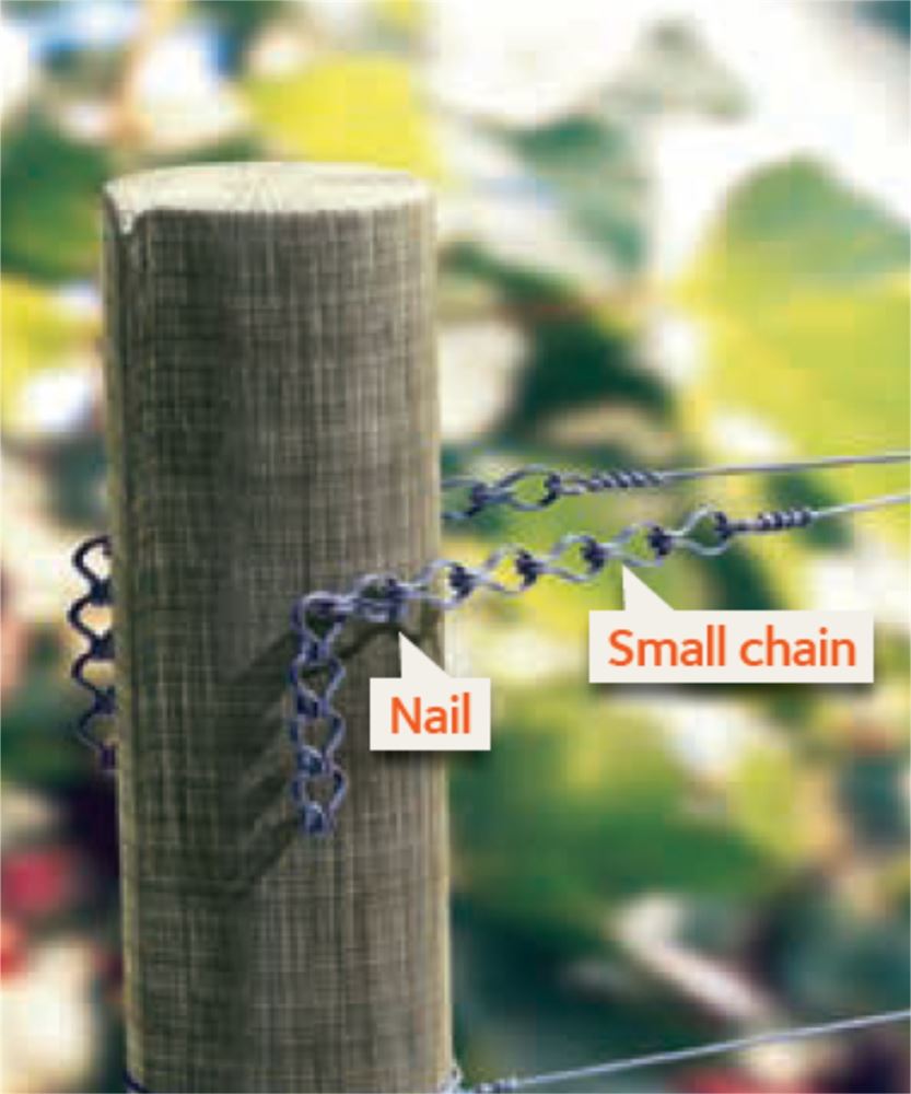 Shown in use as a fixing point for the moveable wires on a trellising system (chains available separately)