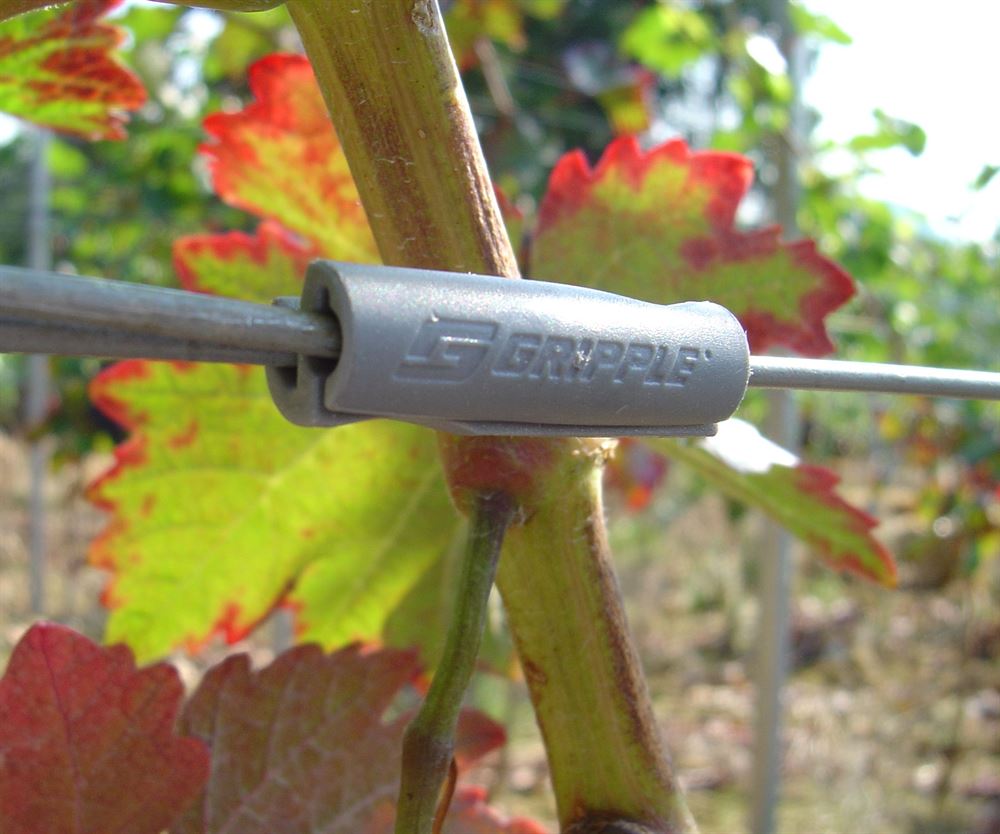 Shown in use tucking in wire end on a trellising system